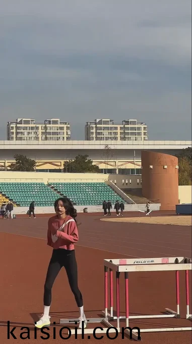 在线观看www日本韩国网站